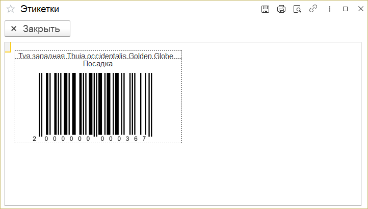 Файл:Ип - Этикетка туя.png