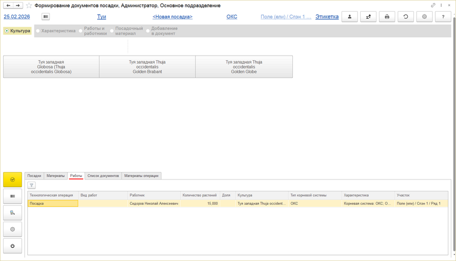 Ип - закладка работы.png