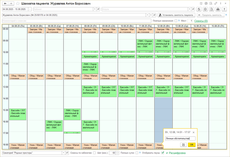 Файл:Шахматка пациента Установка занятости(1).png