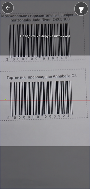 Розничный чек ТСД - сканирование штрихкода.png