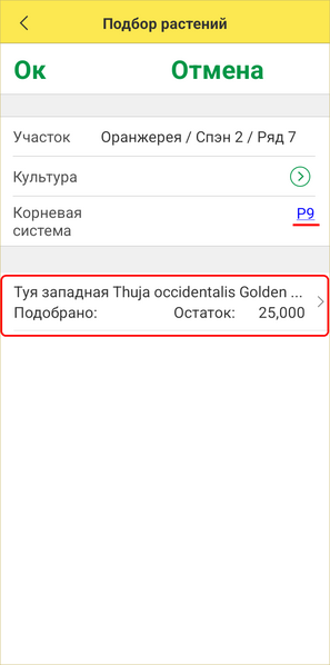 Файл:Подбор растений (туя).png