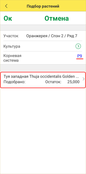 Подбор растений (туя).png