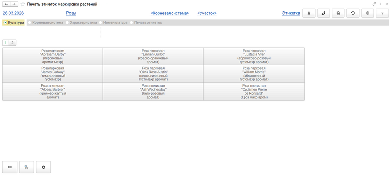 Файл:Печать этикеток маркировки растений.png