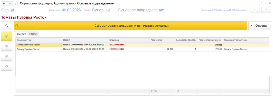 ИСП предварительное окно создания документов.png