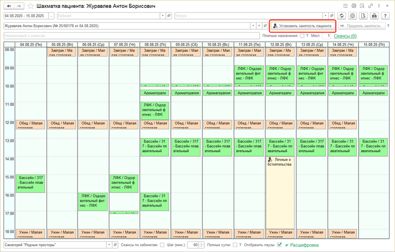 Файл:Шахматка пациента Установка занятости(2).png