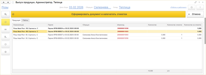 Файл:ИВП предварительное окно создания документов.png