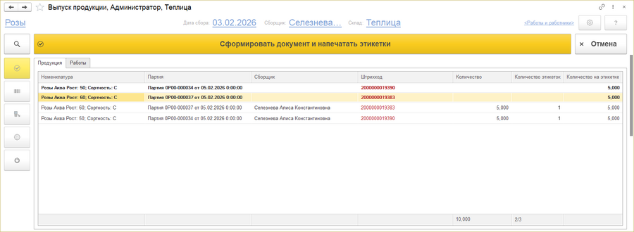 ИВП предварительное окно создания документов.png