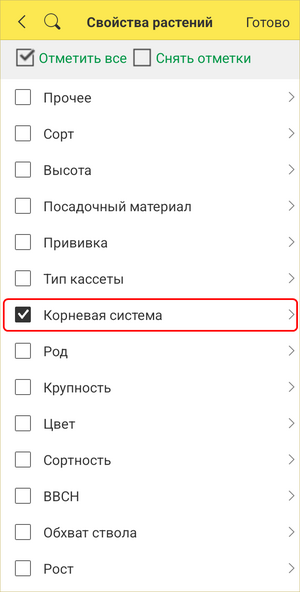 Корневая система.png