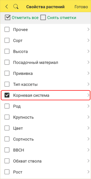 Файл:Корневая система.png